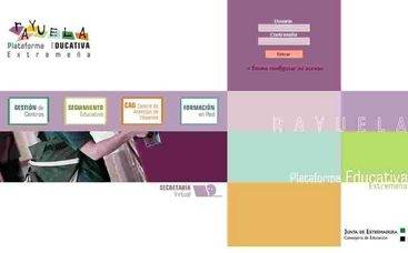 OPINI&Oacute;N COMO PADRE DE LA PLATAFORMA TIC - RAYUELA